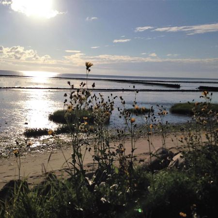 Appartamento App. Eidum 01 Westerland Esterno foto